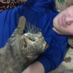 Молодой и красивый парень, познакомлюсь с дамой Молодой и красивый парень, познакомлюсь с дамой